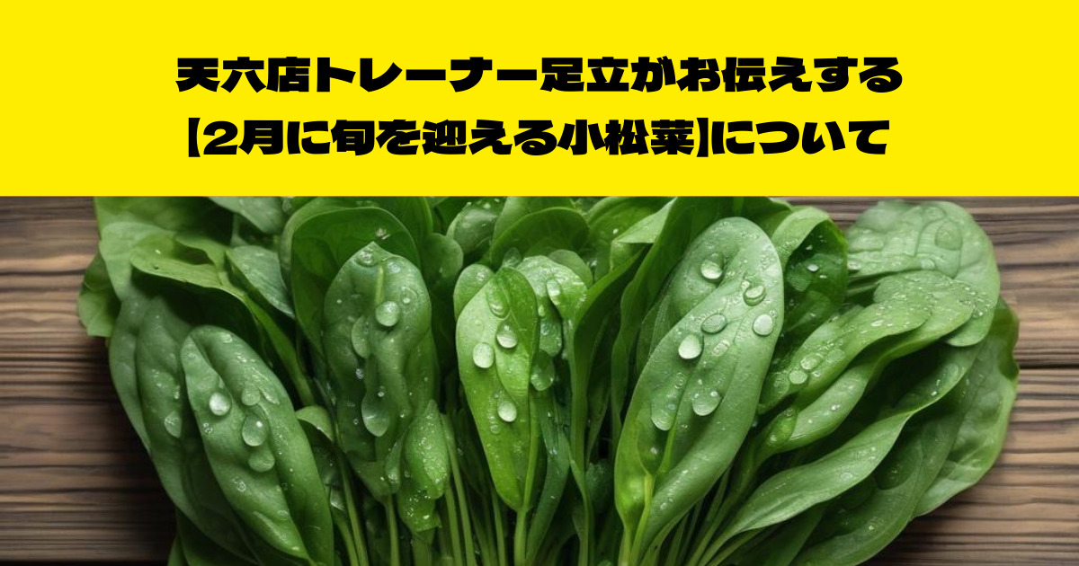 THE PERSONAL GYM（ザ パーソナル ジム）天六店トレーナーが伝える！２月に旬を迎える【小松菜】について